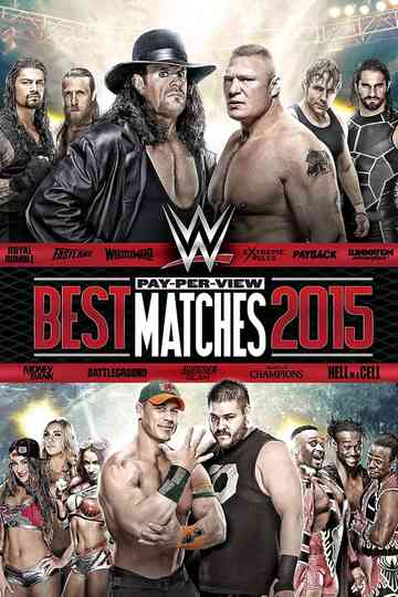 WWE Best PayPerView Matches 2015 Poster