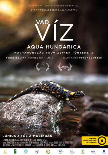 Where Rivers Run Wild: Aqua Hungarica Poster