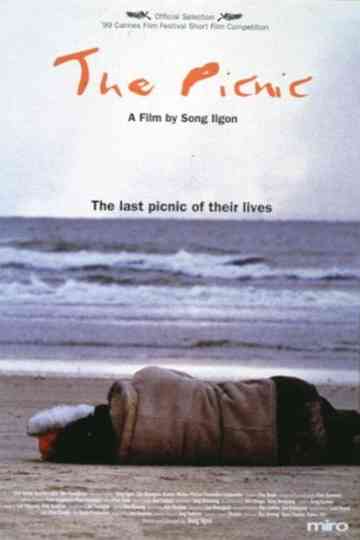 The Picnic Poster