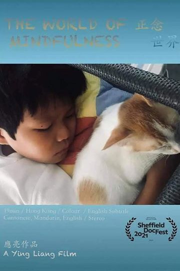 The World of Mindfulness