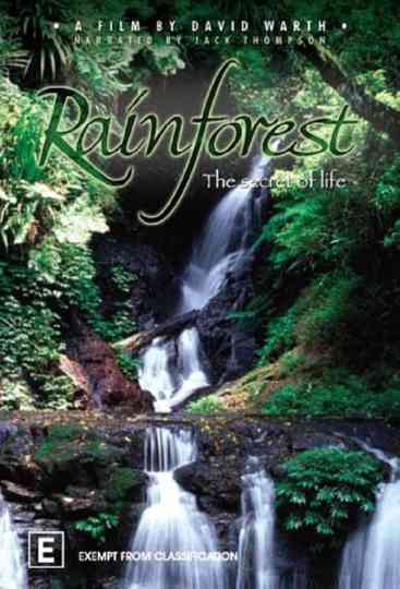 Rainforest The Secret Of Life poster