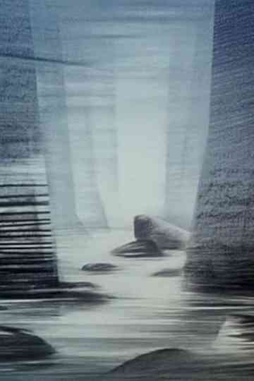 Journey Towards Light Poster