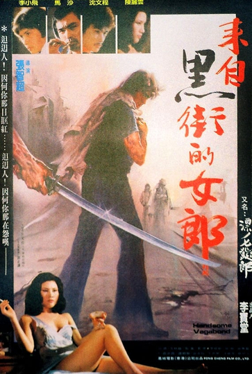 Handsome Vagabond Poster