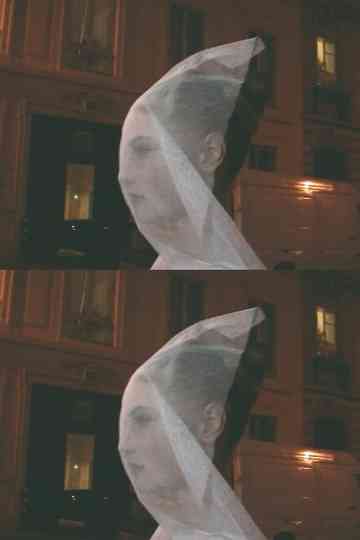 Une sorte de journal vidéo Poster