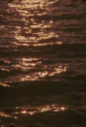 Umbra Viventis Lucis Poster