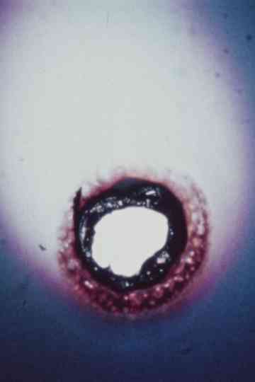 24 Frames per Second Poster