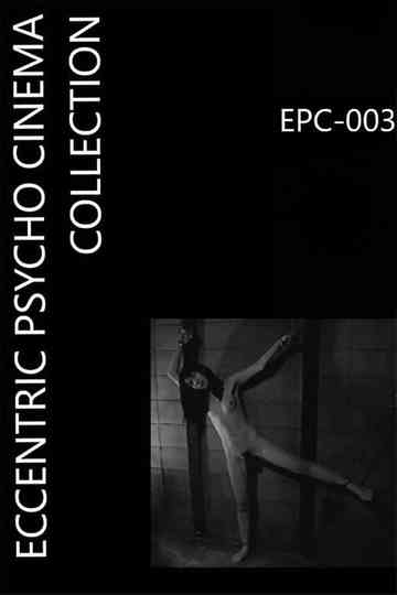 Female Body Collection Stewardess Risa Poster