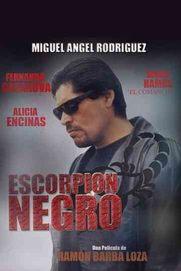Escorpión negro Poster