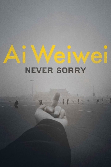 Ai Weiwei Never Sorry