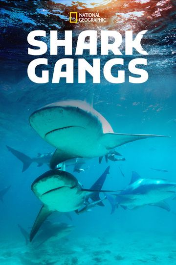 Shark Gangs Poster