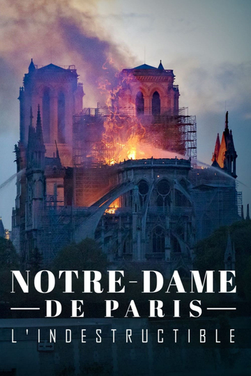 NotreDame de Paris lindestructible