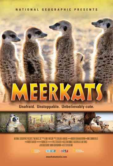 Meerkats 3D Poster