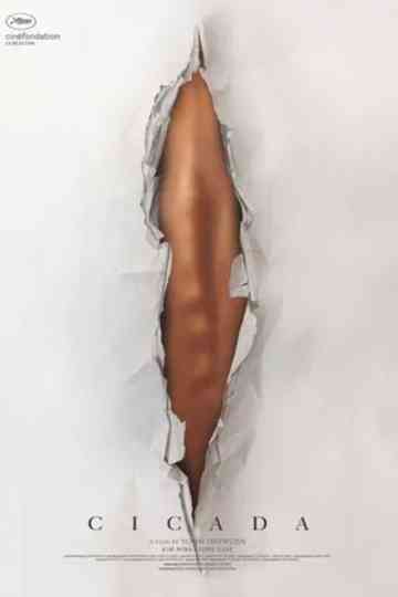 Cicada Poster
