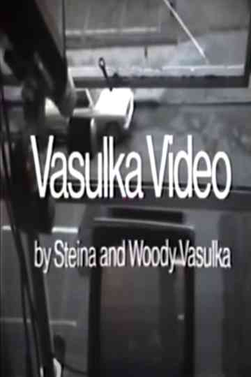 Vasulka Video Poster