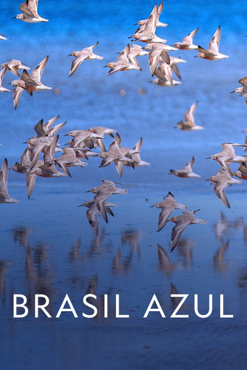 Blue Brazil Poster