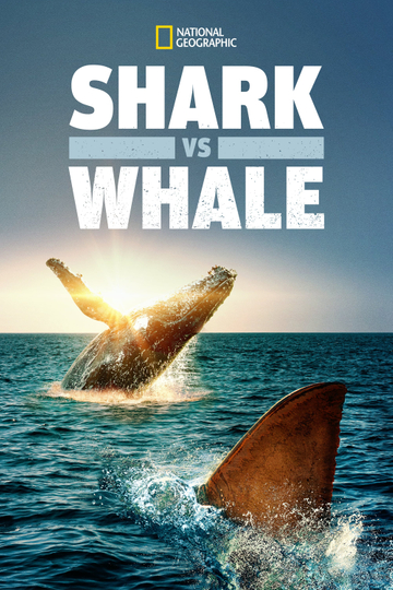 Shark Vs. Whale Poster