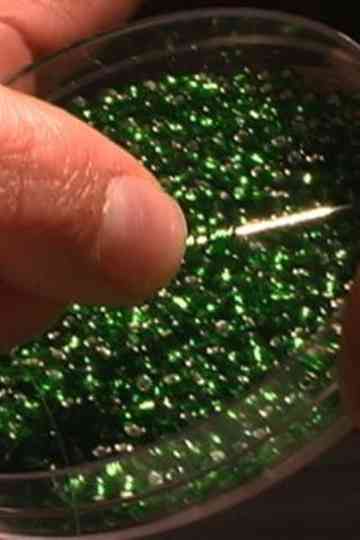 My Heart the Prophet Poster