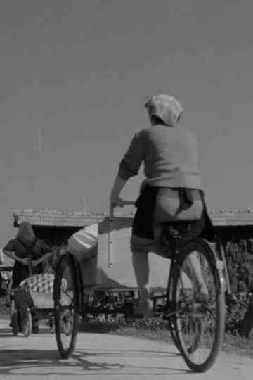 Laundresses from Bizovik Poster