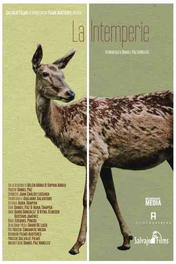 Out in the Open Poster