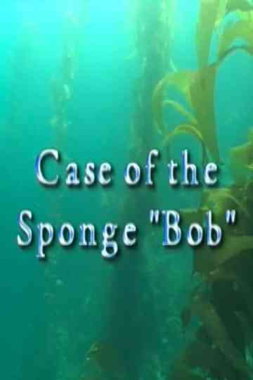Case of the Sponge Bob Poster