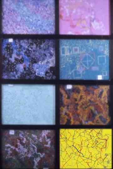 Chantilly Revisited Poster