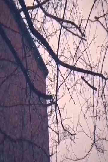 Hometown Searching Poster