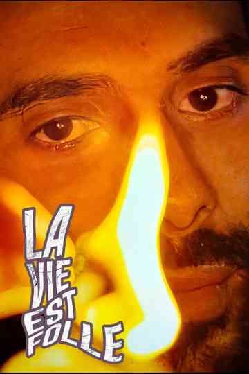 Mustapha El Atrassi - La Vie Est Folle Poster