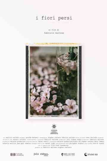 Lost Flowers Poster