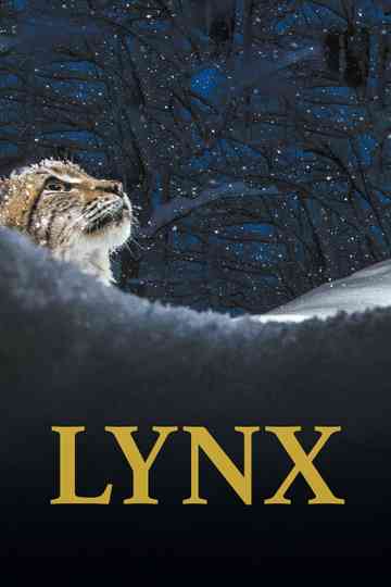 Lynx Poster
