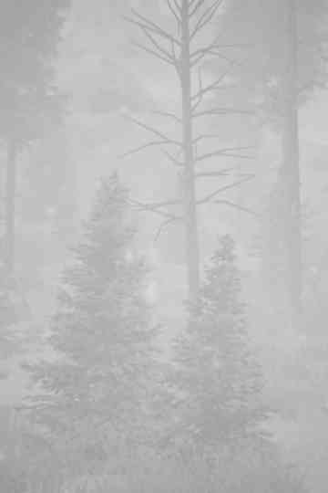 Open Heart Warrior Poster