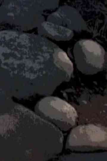 A Walk Through Waseda Garden Poster