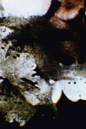 its easier to pick sours than sweets Poster