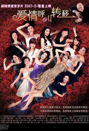 爱情呼叫转移 (系列) Poster