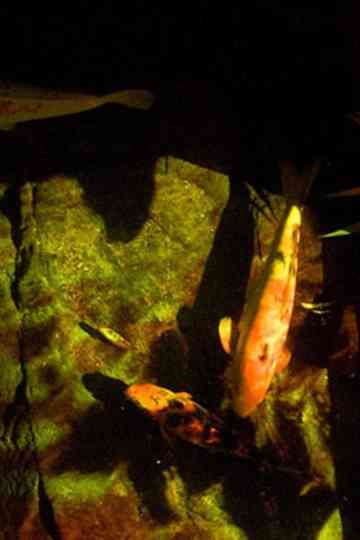 Save the Queen Poster