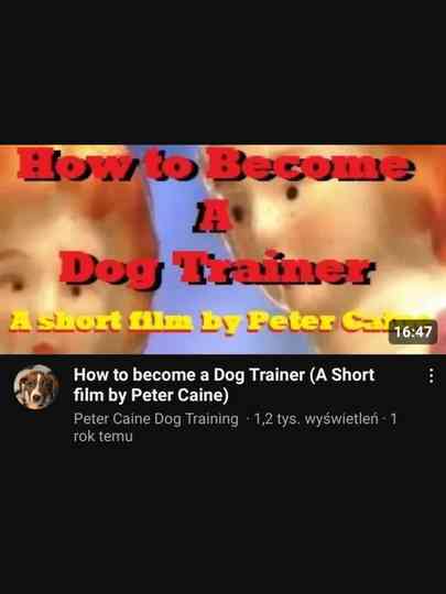 How to become a Dog Trainer Poster