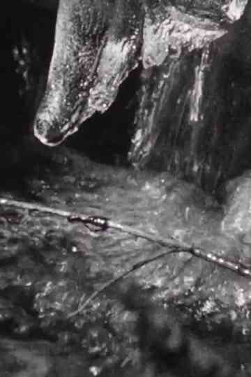 The River Flows to the Sea Poster