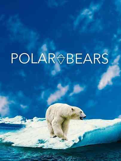 Polar Bears Poster