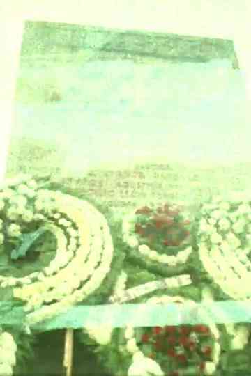 Faces in the Crowd 3: Paralaje Poster