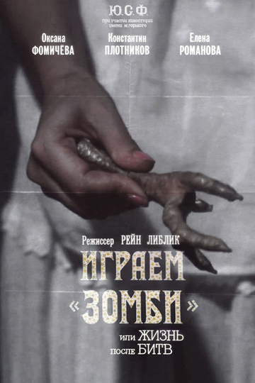 We Play Zombi or Life After Fights Poster