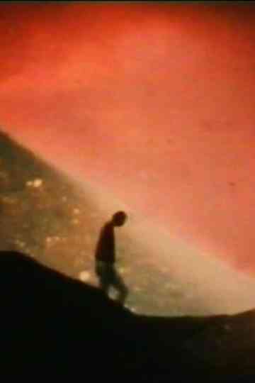 The Galactical North Pole lies in the Hair of Berenice Poster