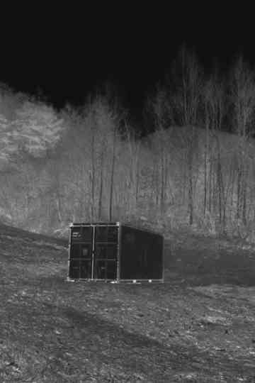 Belated Bosal Poster