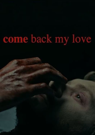 Come Back My Love Poster