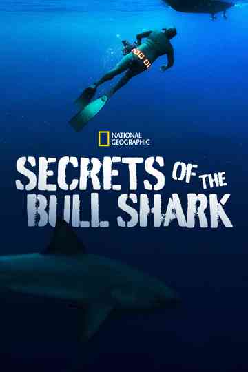 Secrets of the Bull Shark Poster
