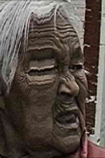 Old Lady El Toppo Poster