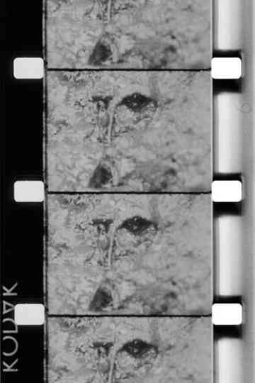 La source de la Loire Poster