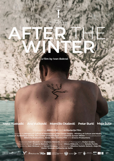 After the Winter Poster