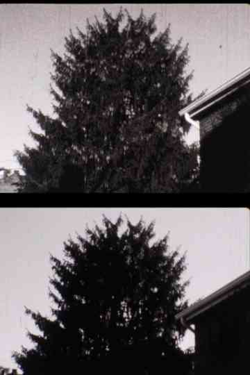 43 street Treelapse Poster