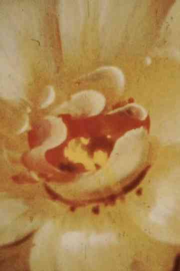 Last Day of Capricorn Poster