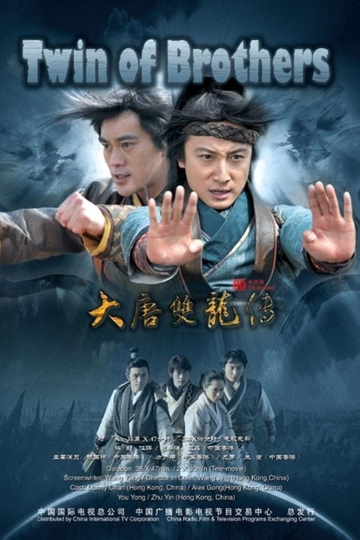 Twin of Brothers Poster