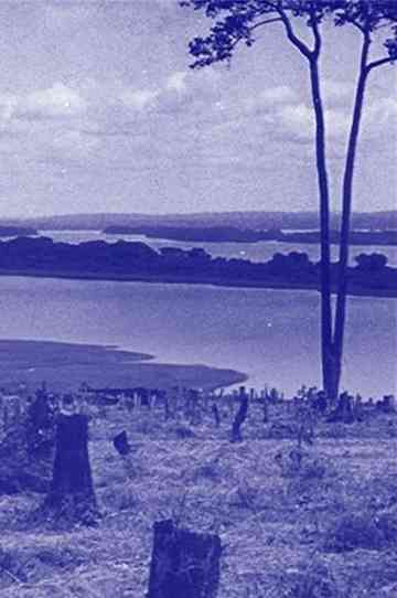 Brave New World Poster